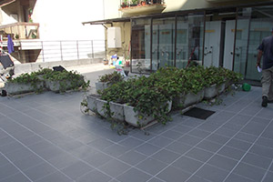 Impermeabilizado terrazas