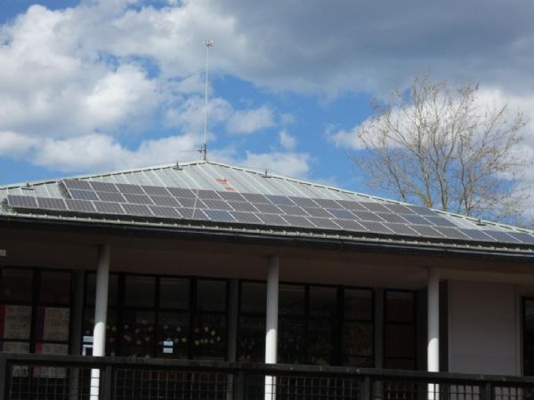 Instalacin antipalomas en paneles solares