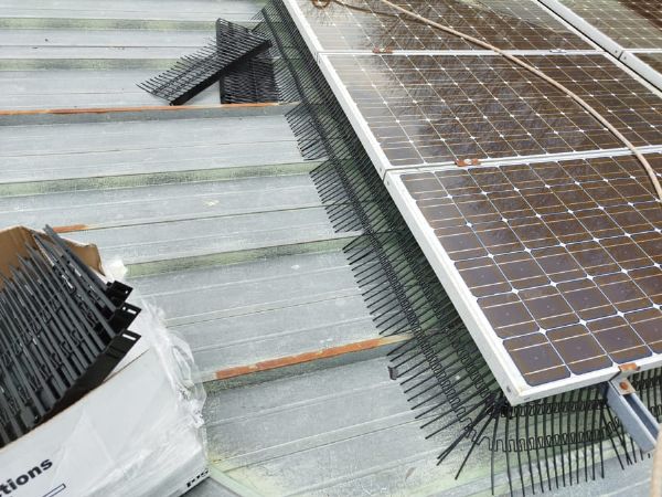 Instalacin antipalomas en paneles solares