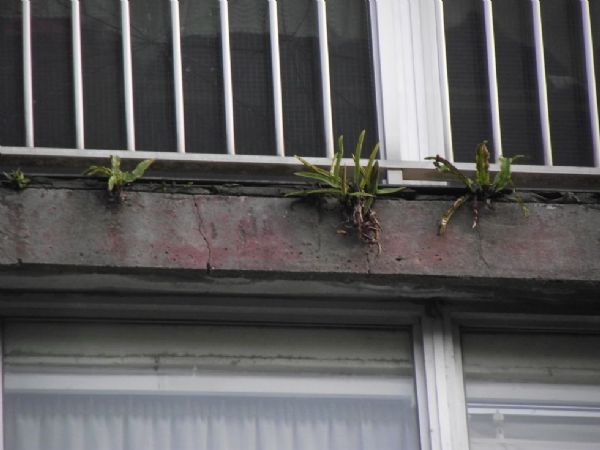 Frentes de balcones, antes de obra