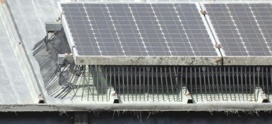 Instalacin antipalomas en paneles solares