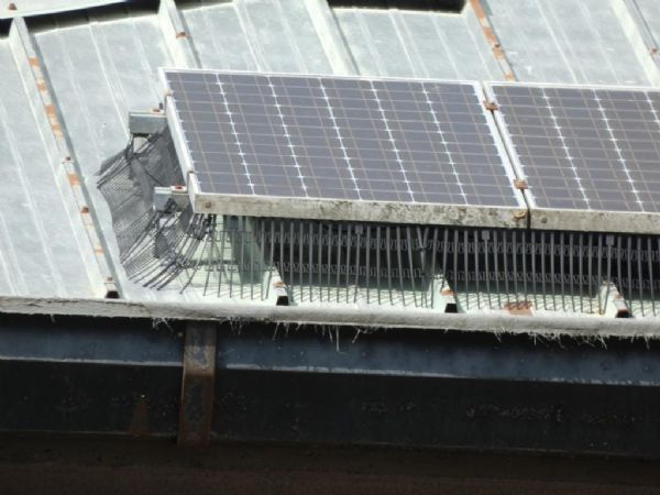 Instalación antipalomas en paneles solares