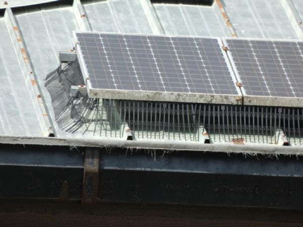 Instalacin antipalomas en paneles solares