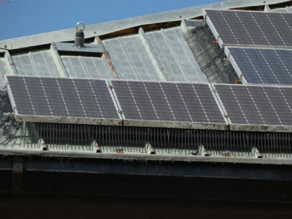 Instalacin antipalomas en paneles solares